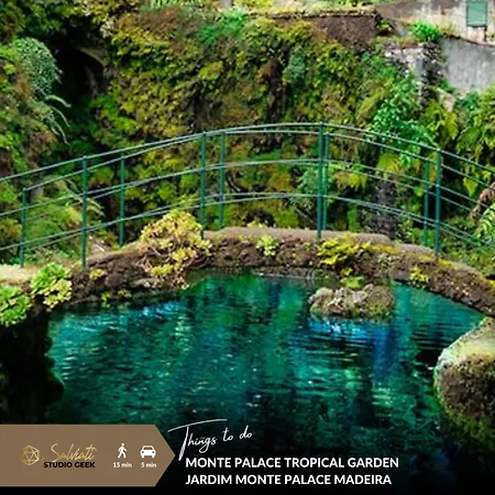 Geek - Open Space - 5m From 5 Attractions - Pool Year Round, Dining Pergola, Barbecue - Matrix Villa